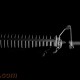 Your Rifle and SHTF